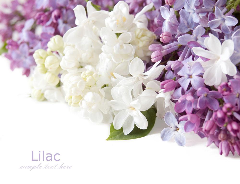 喜訊！2017七夕節(jié)的一份中標通知書