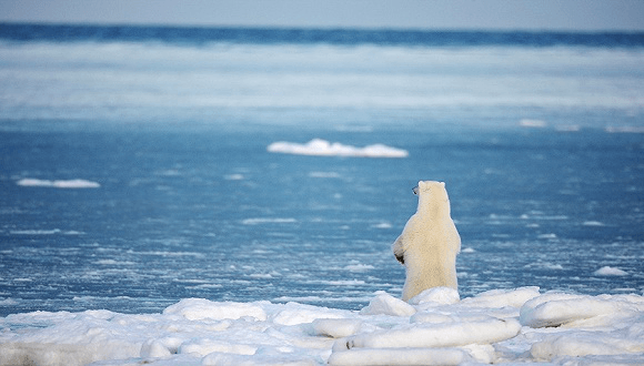 未來(lái)50年能源系統(tǒng)格局將大變，江蘇江河順應(yīng)時(shí)局，生態(tài)發(fā)展！